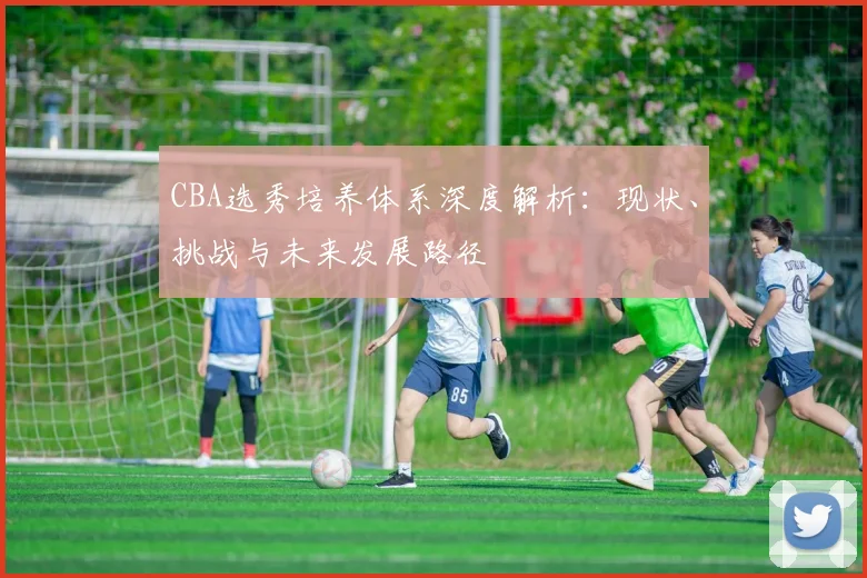 CBA选秀培养体系深度解析：现状、挑战与未来发展路径